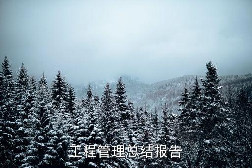 工程管理總結報告