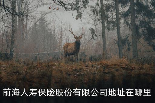 前海人壽保險股份有限公司地址在哪里