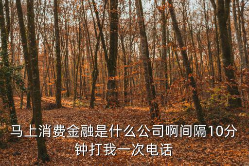 重慶市馬上貸消費金融有限公司，重慶馬上消費金融逾期罰款怎么算10天罰50違約金20天呢