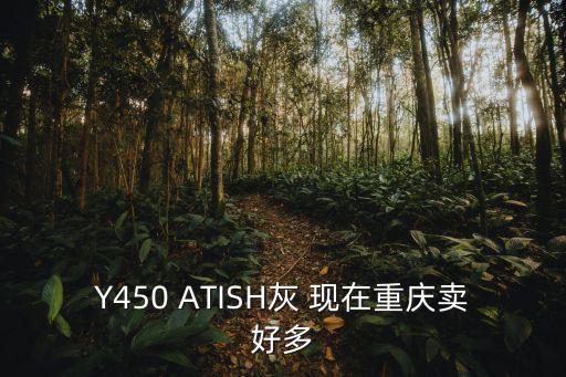 重慶市巴南溪山h樓盤，Y450 ATISH灰 現在重慶賣好多