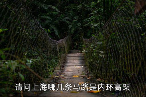 上海市內(nèi)環(huán)高架路況，請問上海哪幾條馬路是內(nèi)環(huán)高架