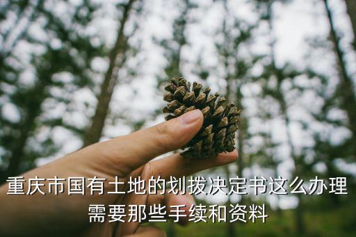 重慶市量化確權，重慶城鄉農轉非