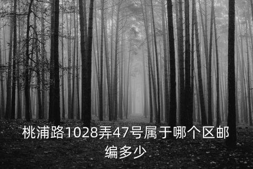 桃浦路1028弄47號屬于哪個區郵編多少