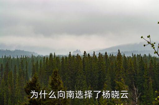 為什么向南選擇了楊曉云