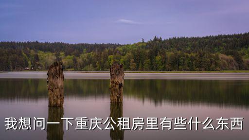 重慶市公租房里設施有一些什么，我想問一下重慶公租房里有些什么東西