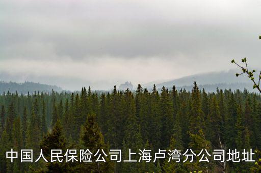 中國人民保險公司上海盧灣分公司地址