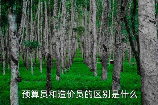 土建預算員,第二種計算管理模式下的建筑造價員