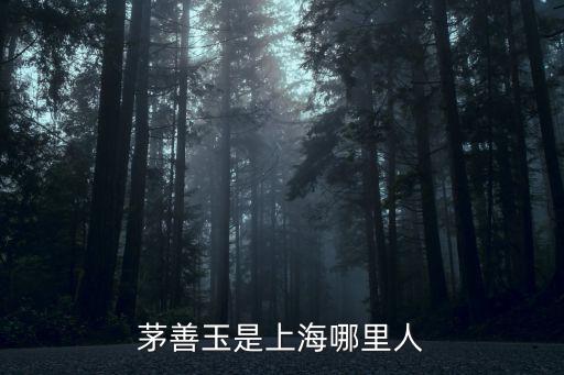 上海市滬劇團團長是誰，茅善玉是上海哪里人