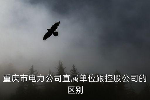 重慶市電力公司直屬單位跟控股公司的區別