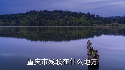 重慶市殘聯在什么地方