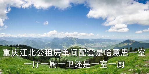 重慶江北公租房單間配套是啥意思一室一廳一廚一衛還是一室一廚
