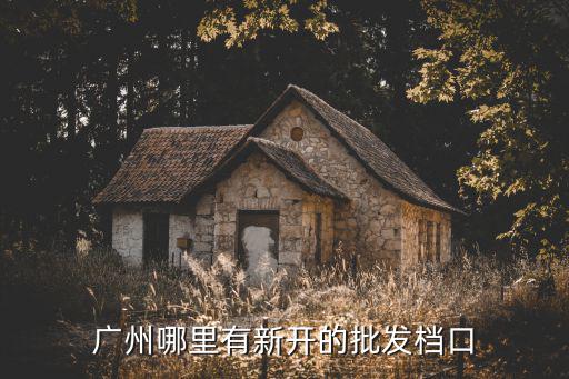 廣州哪里有新開的批發(fā)檔口