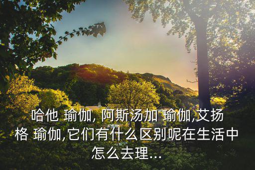 哈他 瑜伽, 阿斯湯加 瑜伽,艾揚格 瑜伽,它們有什么區別呢在生活中怎么去理...