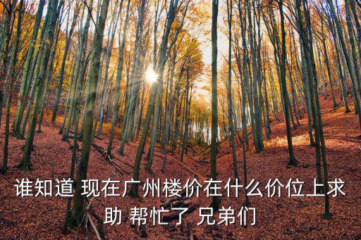 廣州實地常春藤新房價，廣州城區的樓價大約多少錢一方