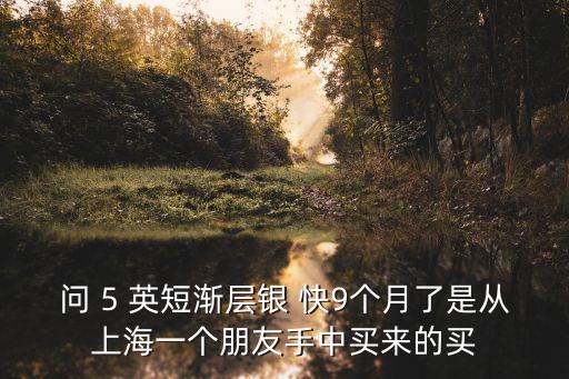 問 5 英短漸層銀 快9個(gè)月了是從上海一個(gè)朋友手中買來的買