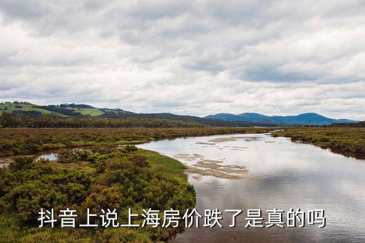 抖音上說上海房價跌了是真的嗎