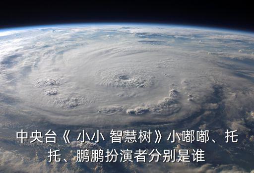 小小智慧樹小星星,小小智慧樹周一至周五在cctv-14播出