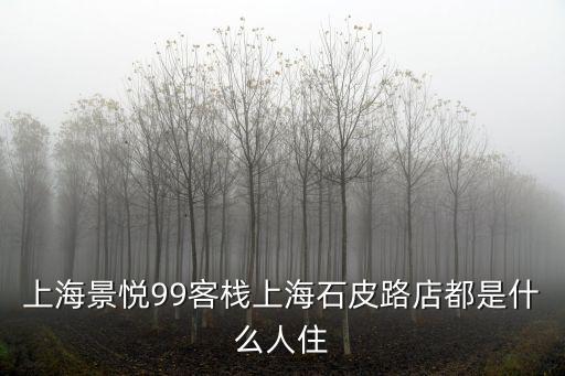 上海景悅99客棧上海石皮路店都是什么人住