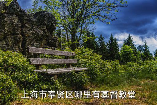 上海市奉賢區(qū)青丘，上海奉獻(xiàn)那個(gè)鎮(zhèn)上的人最多