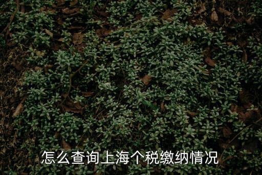 怎么查詢上海個稅繳納情況