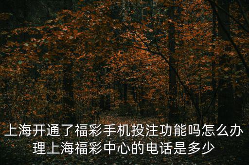 上海開通了福彩手機投注功能嗎怎么辦理上海福彩中心的電話是多少