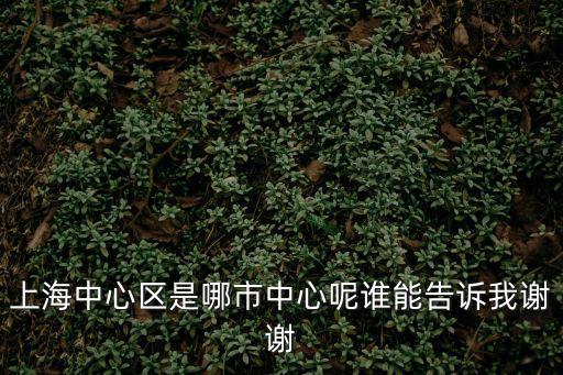 靜安大寧板塊是上海市中心嗎，上海中心區是哪市中心呢誰能告訴我謝謝
