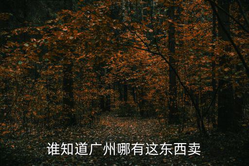 誰知道廣州哪有這東西賣