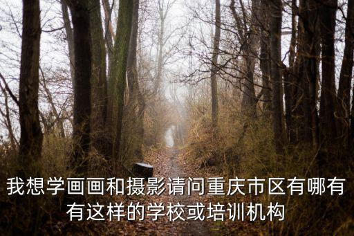 重慶市寰宇藝術(shù)培訓學校，重慶環(huán)宇學校在什么位置