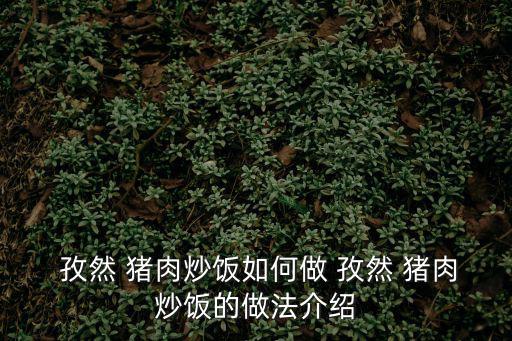  孜然 豬肉炒飯如何做 孜然 豬肉炒飯的做法介紹