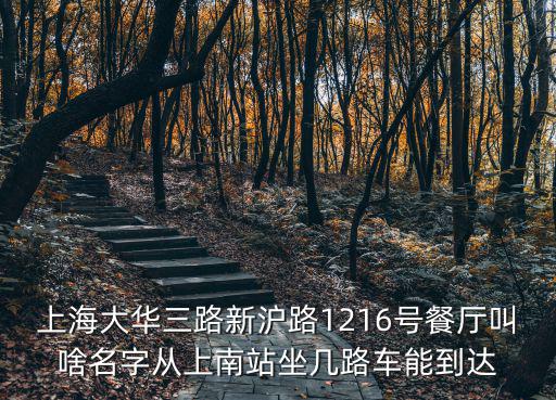 上海大華三路新滬路1216號餐廳叫啥名字從上南站坐幾路車能到達