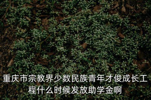 重慶市宗教事務局李，重慶市宗教界少數民族青年才俊成長工程什么時候發放助學金啊