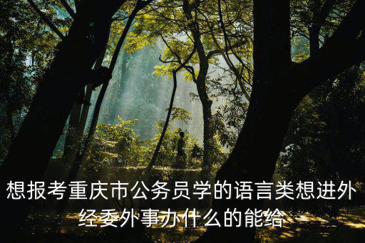 想報考重慶市公務員學的語言類想進外經委外事辦什么的能給