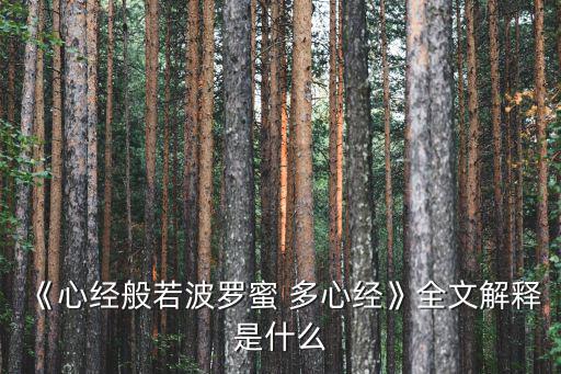多心經(jīng),佛經(jīng)精華（13）