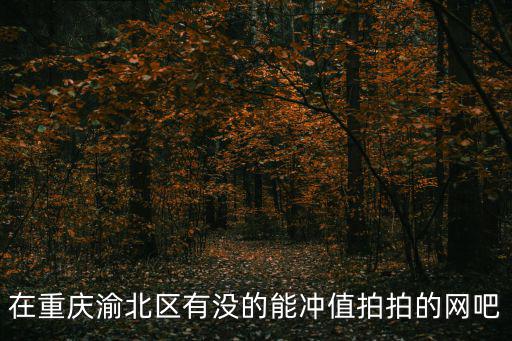 重慶市渝北區法拍房網站有哪些，在重慶渝北區有沒的能沖值拍拍的網吧