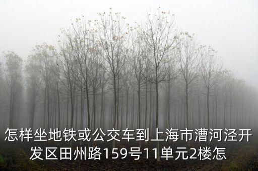 怎樣坐地鐵或公交車到上海市漕河涇開發區田州路159號11單元2樓怎