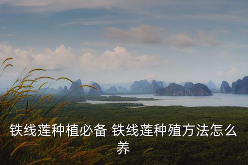 鐵線蓮種植必備 鐵線蓮種殖方法怎么養(yǎng)