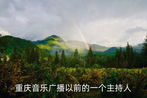 重慶市李佳珉主持人，重慶打黑行動是由誰主持的