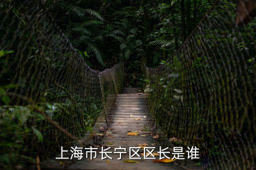 上海市長寧區區長是誰