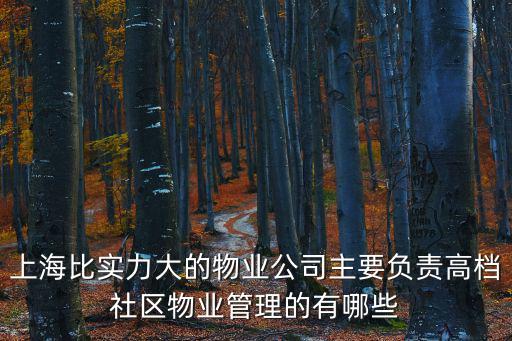 上海比實力大的物業公司主要負責高檔社區物業管理的有哪些