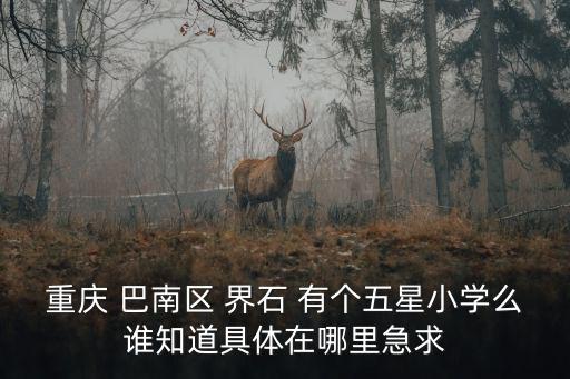 重慶市巴南區光輝鎮臨江村，請問誰知道重慶巴南區特殊學校聾啞人學校的詳細地址