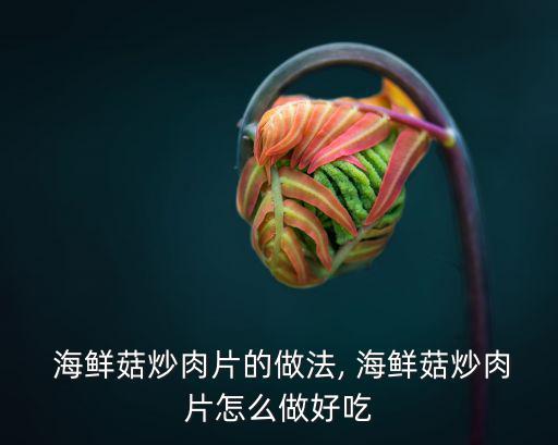  海鮮菇炒肉片的做法, 海鮮菇炒肉片怎么做好吃