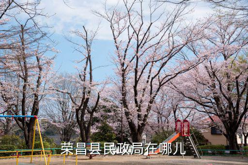 榮昌縣民政局在哪兒