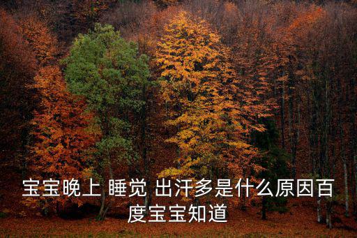 寶寶晚上 睡覺 出汗多是什么原因百度寶寶知道