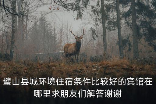 璧山縣城環(huán)境住宿條件比較好的賓館在哪里求朋友們解答謝謝