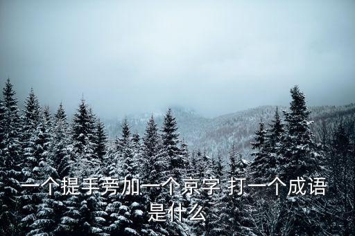 一個提手旁加一個京字 打一個成語 是什么