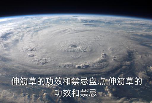  伸筋草的功效和禁忌盤點 伸筋草的功效和禁忌