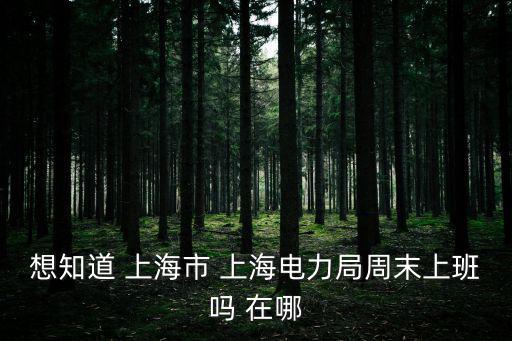 上海市浦城區供電局，想知道 上海市 上海電力局周末上班嗎 在哪