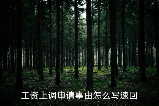 工資上調申請事由怎么寫速回
