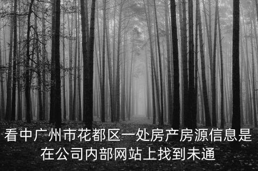 看中廣州市花都區一處房產房源信息是在公司內部網站上找到未通