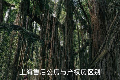 上海售后公房與產(chǎn)權(quán)房區(qū)別